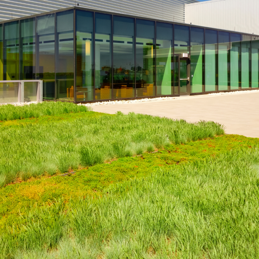 Green Roof Replacement